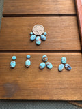 Payton’s Custom Buffalo Necklace & Earrings